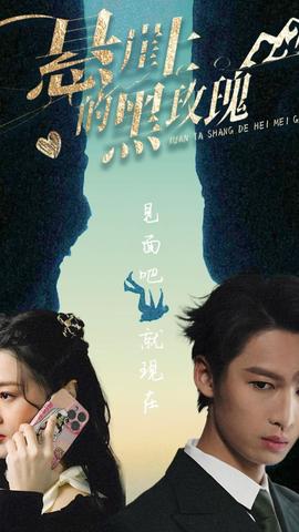 悬崖上的黑玫瑰101集 全集(大结局)