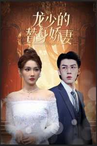 龙少的替身娇妻 全集(大结局)