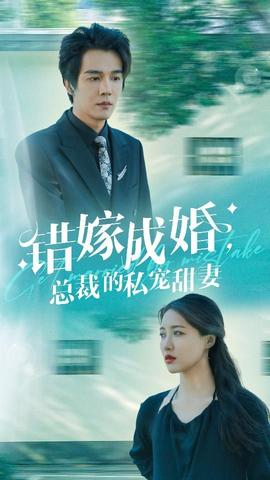错嫁成婚总裁的私宠甜妻 全集(大结局)