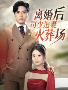 离婚后司少追妻火葬场 全集(大结局)