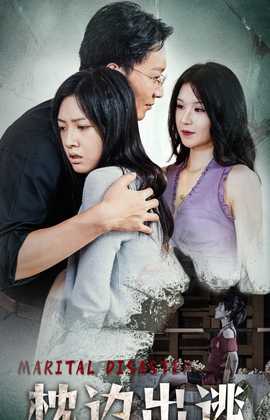 枕边出逃 全集(大结局)