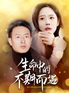 生命中的不期而遇(全集)