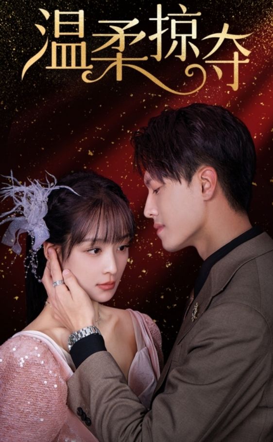 温柔掠夺 61-80集(大结局)
