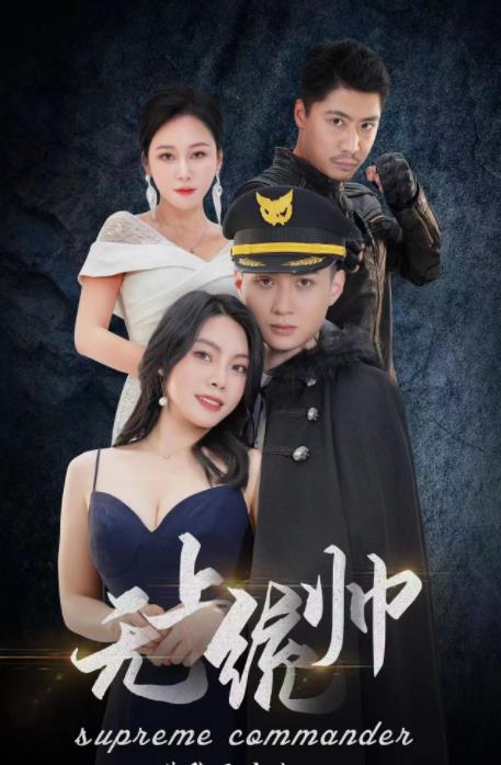 无上统帅 全集 (下)