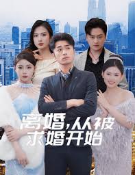 离婚从被求婚开始 全集 (下)