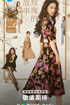 玫瑰的故事 第03集