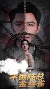 掌中玩物，不做陆总金丝雀 全集 (下)