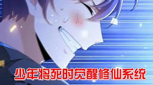 快死时觉醒修仙系统走向人生巅峰 全集(大结局)