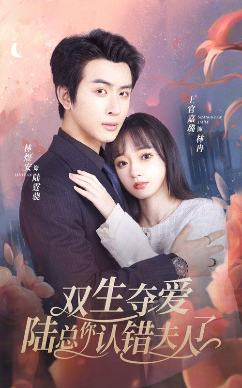 双生夺爱陆总你认错夫人了 全集(大结局)