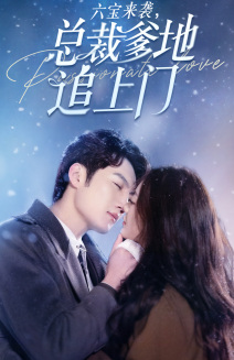六宝来袭总裁爹地追上门 全集(大结局)
