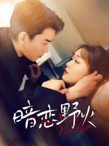 暗恋野火 全集(大结局)